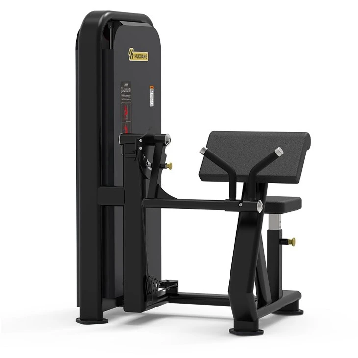 Workout Biceps Trainer Workout Biceps Trainer